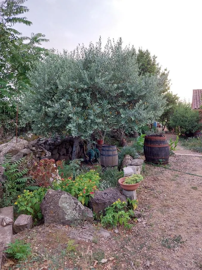 Villa Anna Flussio 0*,